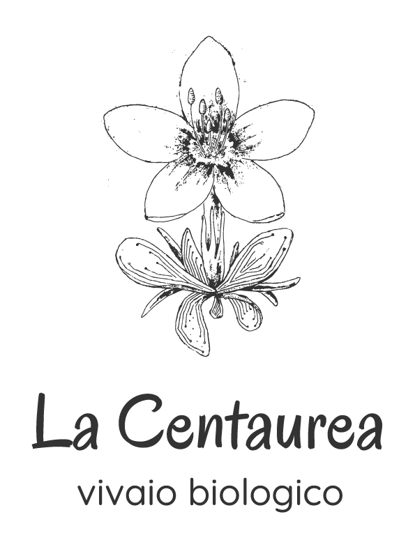 Logo La Centaurea Vivaio biologico