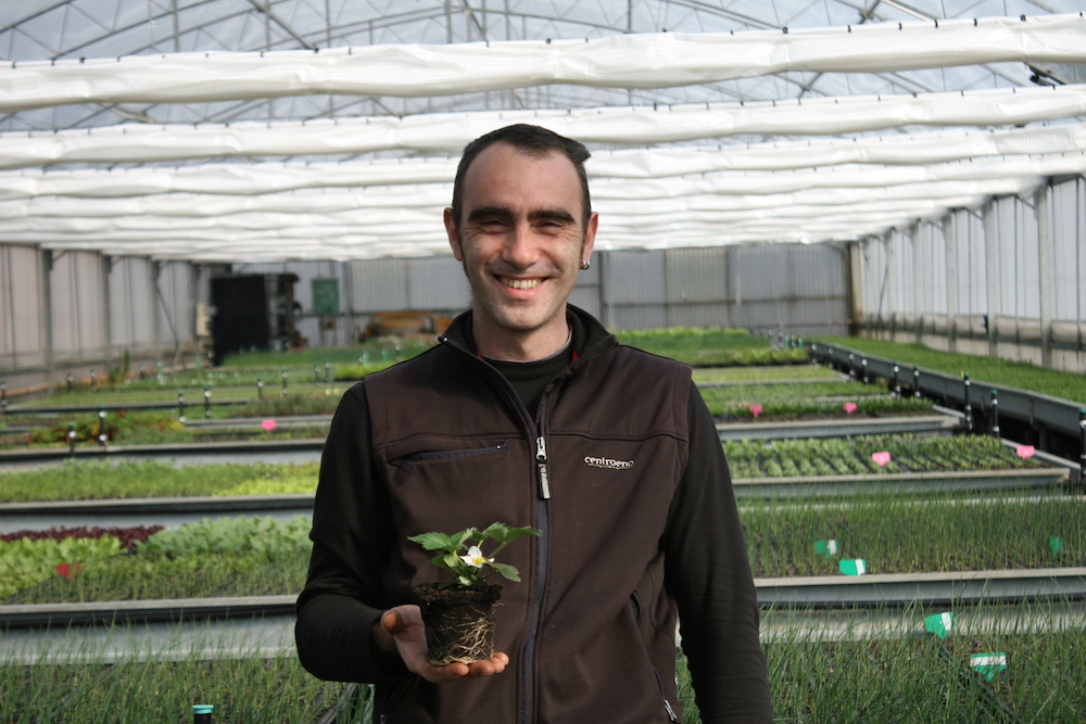 Stefano Prandi La Centaurea Vivavio biologico Riva del Garda